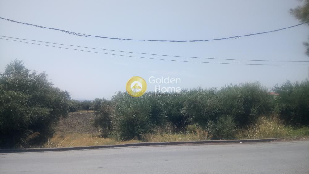 Οικόπεδο 2.236 τ.μ. για πώληση, Ν. Σάμου, Σάμος