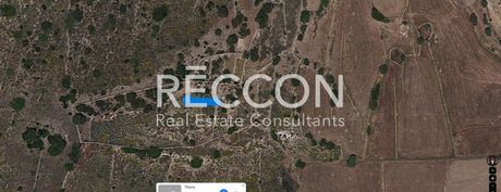 Parcel 11.000sqm for sale-Paros » Agkairia