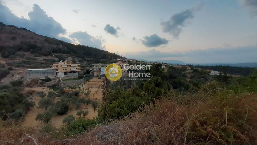 Οικόπεδο 11.542 τ.μ. προς πώληση, Τζιτζιφές