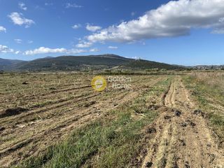 Αγροτεμάχια 7.500 τ.μ. για ενοικίαση, Εύβοια, Δύστος-thumb-8