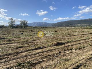 Αγροτεμάχια 7.500 τ.μ. για ενοικίαση, Εύβοια, Δύστος-thumb-9