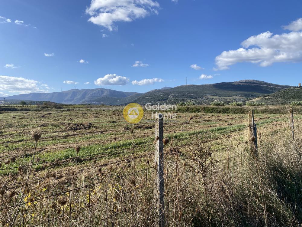 Αγροτεμάχια 7.500 τ.μ. προς ενοικίαση, Εύβοια, Δύστος