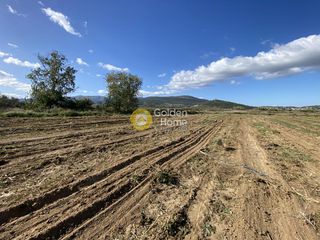 Αγροτεμάχια 7.500 τ.μ. για ενοικίαση, Εύβοια, Δύστος-thumb-22