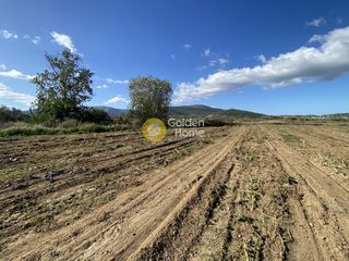 Αγροτεμάχια 7.500 τ.μ. για ενοικίαση, Εύβοια, Δύστος-thumb-23