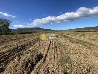 Αγροτεμάχια 7.500 τ.μ. για ενοικίαση, Εύβοια, Δύστος-thumb-19