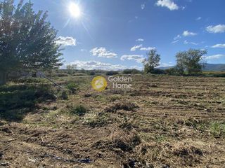Αγροτεμάχια 7.500 τ.μ. για ενοικίαση, Εύβοια, Δύστος-thumb-13