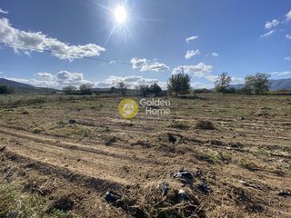 Αγροτεμάχια 7.500 τ.μ. για ενοικίαση, Εύβοια, Δύστος-thumb-11