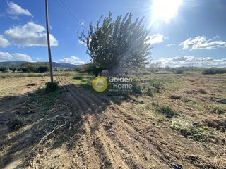 Αγροτεμάχια 7.500 τ.μ. για ενοικίαση, Εύβοια, Δύστος-thumb-15