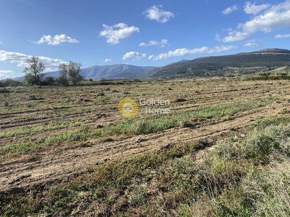 Αγροτεμάχια 7.500 τ.μ. για ενοικίαση, Εύβοια, Δύστος