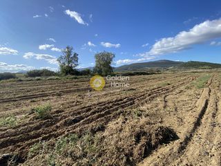 Αγροτεμάχια 7.500 τ.μ. για ενοικίαση, Εύβοια, Δύστος-thumb-21