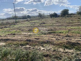 Αγροτεμάχια 7.500 τ.μ. για ενοικίαση, Εύβοια, Δύστος-thumb-6