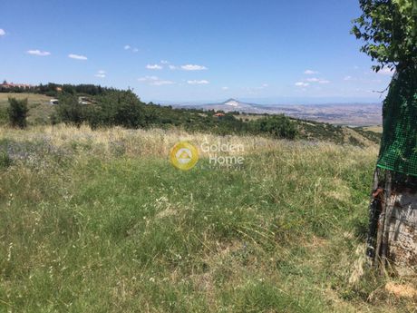 Parcel 3.000 sqm for sale