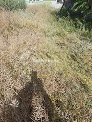 Οικόπεδο 600 τ.μ. για πώληση