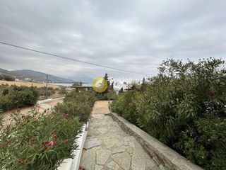 Διαμέρισμα 84 τ.μ. για πώληση, Κυκλάδες, Άνδρος-thumb-5