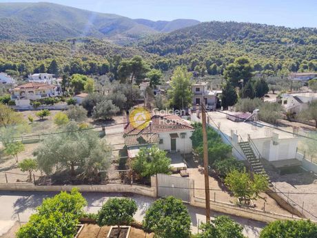 Μονοκατοικία 237 τ.μ. για πώληση