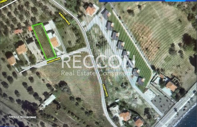 Οικόπεδο 600 τ.μ. για πώληση, Φωκίδα, Τολοφώνα