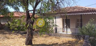 Οικόπεδο 636 τ.μ. για πώληση, Φωκίδα, Δελφοί-thumb-9