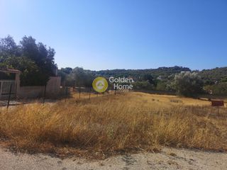 Αγροτεμάχια 1.288 τ.μ. για πώληση