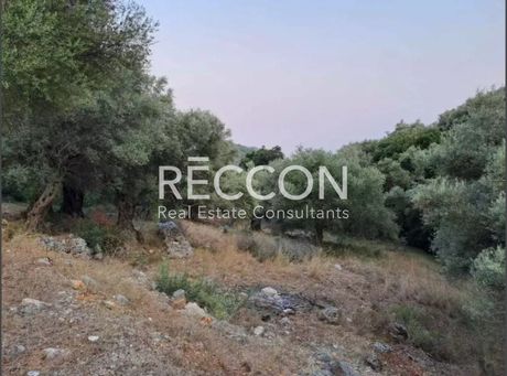 Land plot 4.693sqm for sale-Lefkada » Apollonio
