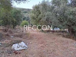 Οικόπεδο 4.693 τ.μ. για πώληση, Ν. Λευκάδας, Λευκάδα-thumb-1