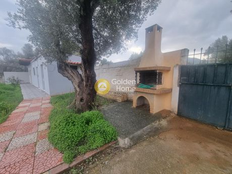 Αγροτεμάχια 1.038 τ.μ. για πώληση