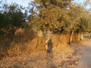 Οικόπεδο 320 τ.μ. προς πώληση