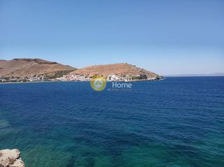 Αγροτεμάχια 6.200 τ.μ. για πώληση