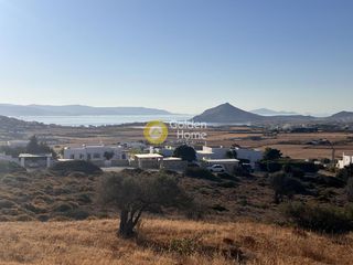 Αγροτεμάχια 4.007 τ.μ. για πώληση
