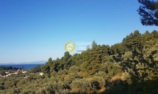 Ξενοδοχείο 1.000 τ.μ. για πώληση, Εύβοια, Δίρφυς-thumb-4