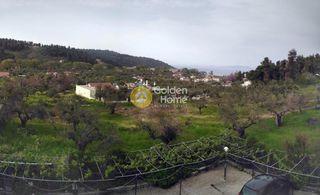 Ξενοδοχείο 1.000 τ.μ. για πώληση, Εύβοια, Δίρφυς-thumb-8