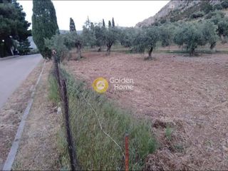 Αγροτεμάχια 773 τ.μ. για πώληση
