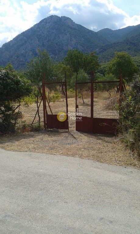 Οικόπεδο 1.000 τ.μ. προς πώληση, Αλμύρα