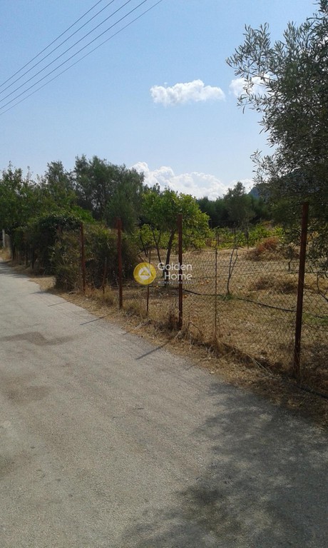 Οικόπεδο 1.000 τ.μ. προς πώληση, Αλμύρα