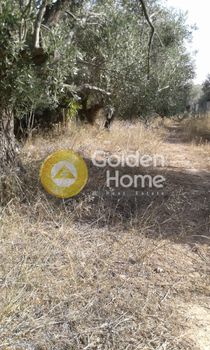 Οικόπεδο 1.500 τ.μ. για πώληση