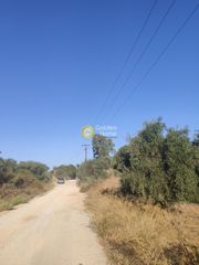 Οικόπεδο 7.027 τ.μ. για πώληση
