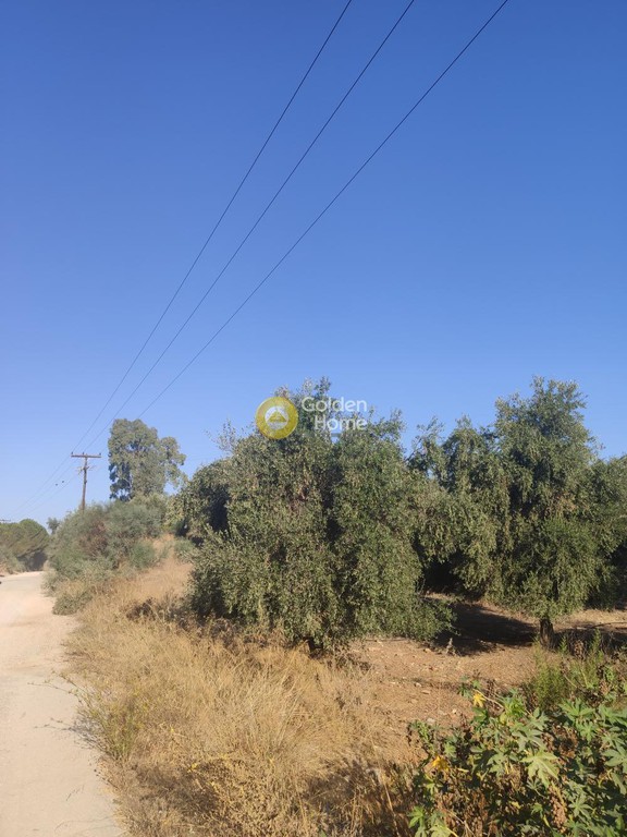 Οικόπεδο 7.027 τ.μ. πρός πώληση, Ν. Ρεθύμνου, Γεροπόταμος