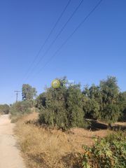 Οικόπεδο 7.027 τ.μ. προς πώληση, Πάνορμος Γεροποτάμου-thumb-1