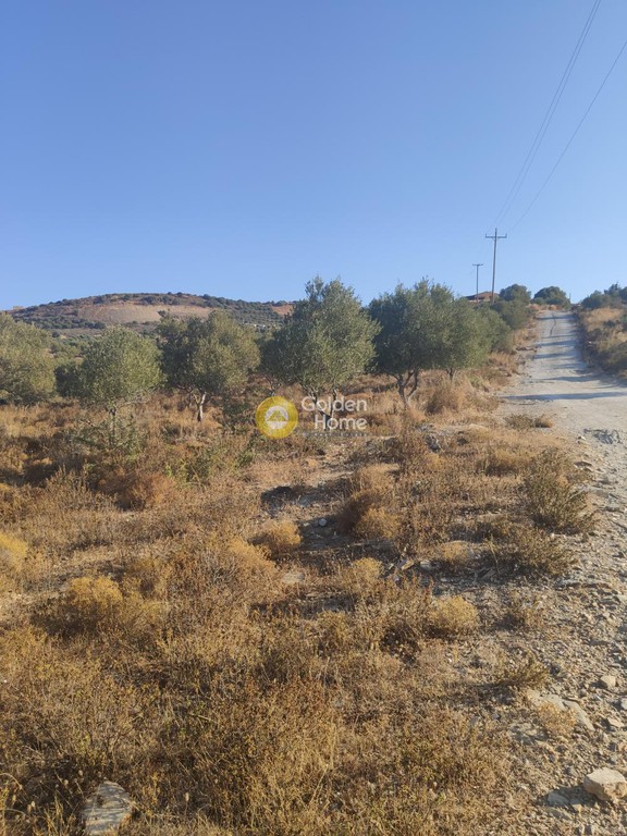 Οικόπεδο 7.027 τ.μ. πρός πώληση, Ν. Ρεθύμνου, Γεροπόταμος