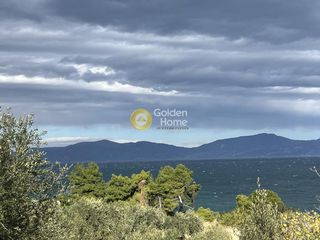 Αγροτεμάχια 4.100 τ.μ. για πώληση