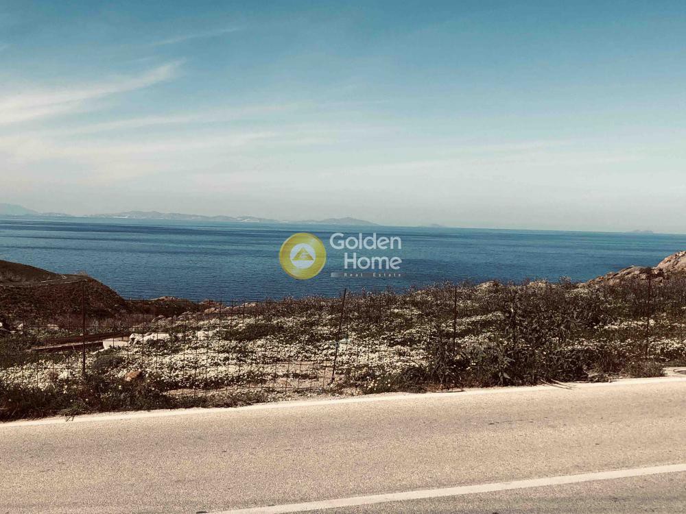 Αγροτεμάχια 12.000 τ.μ. προς πώληση, Μονή Χρυσοστόμου
