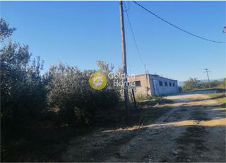 Αγροτεμάχια 4.440 τ.μ. για πώληση