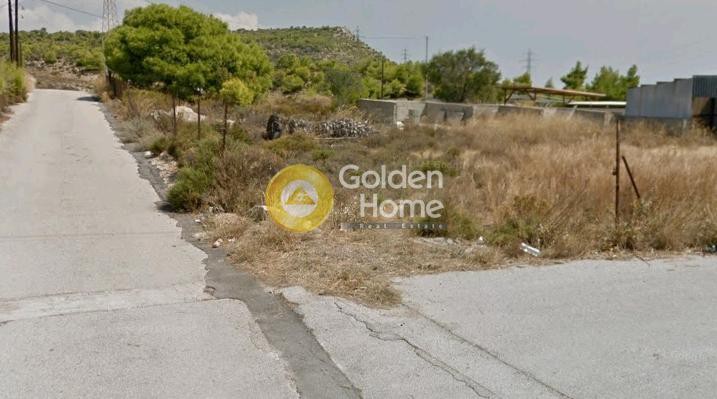Αγροτεμάχια 850 τ.μ. προς πώληση, Μονή Οσίου Παταπίου