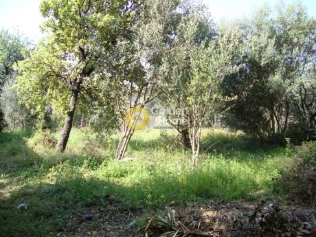 Οικόπεδο 280τ.μ. για πώληση-Γέρακας » Μπάλανα