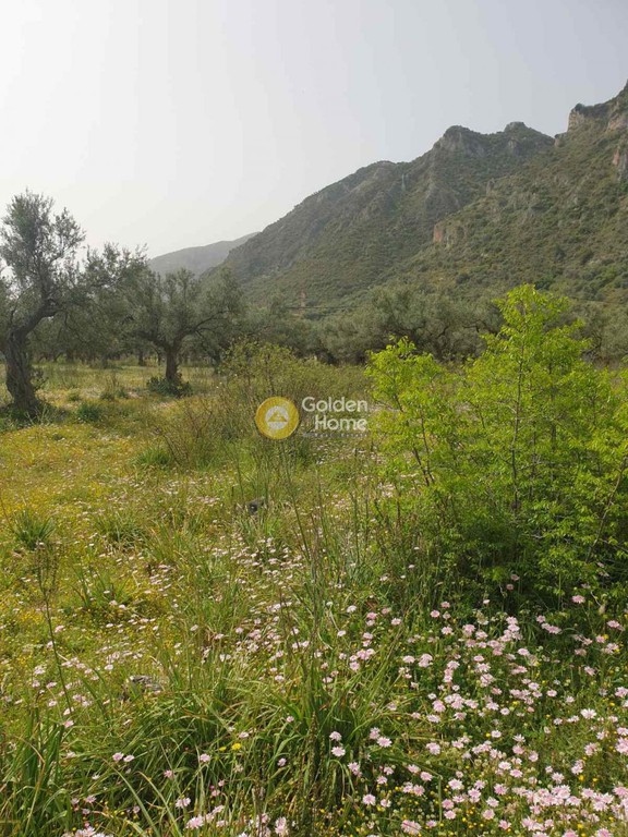 Οικόπεδο 1.085 τ.μ. προς πώληση, Παρόρειο Μυστρά