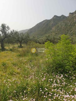 Οικόπεδο 1.085 τ.μ. προς πώληση