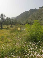 Οικόπεδο 1.085 τ.μ. για πώληση