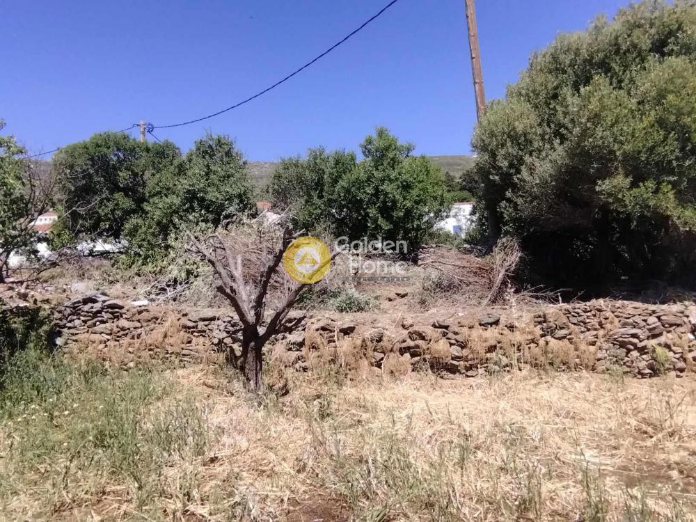Οικόπεδο 170 τ.μ. προς πώληση, Χώρα Άνδρου