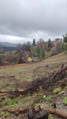 Parcel 199.000 sqm for sale