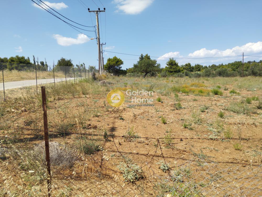 Αγροτεμάχια 3.650 τ.μ. προς πώληση, Μικροχώρι Καπανδριτίου