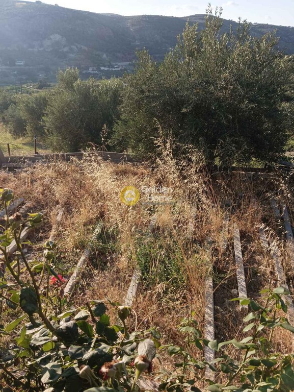 Οικόπεδο 5.000 τ.μ. προς πώληση, Δαφνές Ηρακλείου